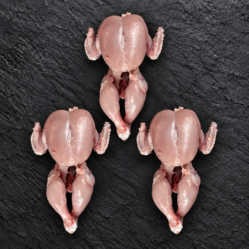 3 Halal Tandoori Chickens (1.1kg - 1.3kg each)